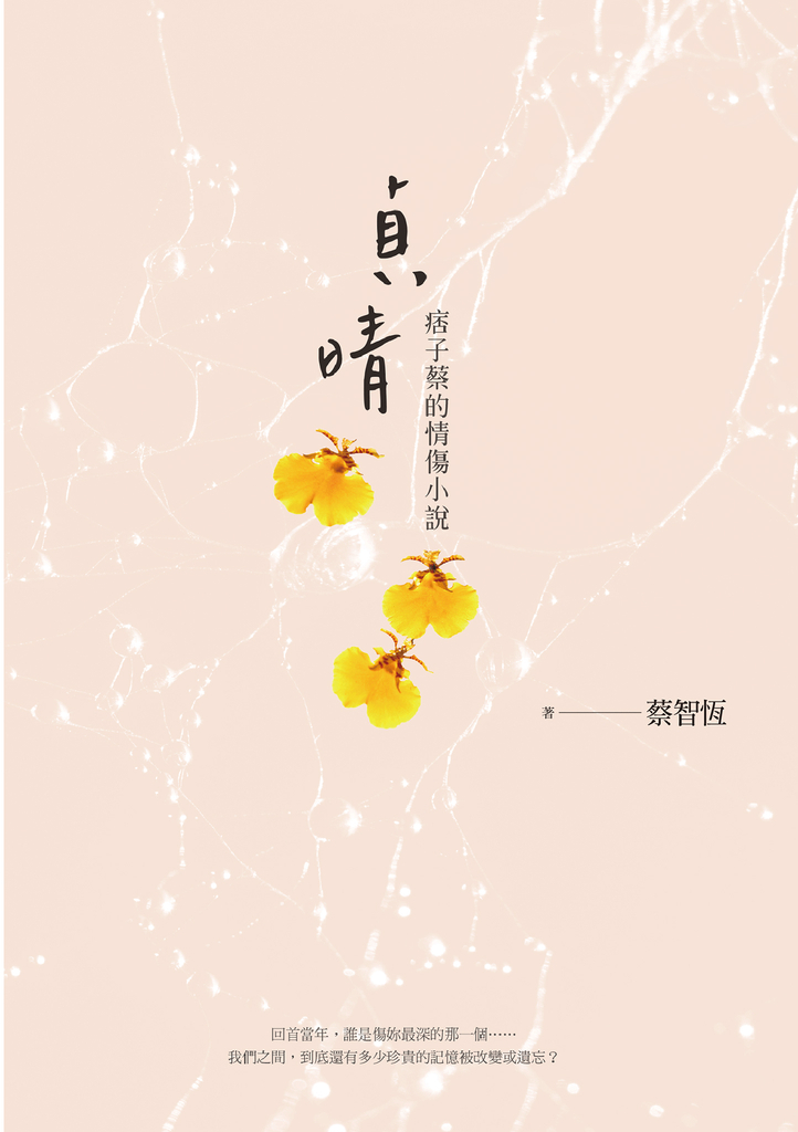 貞晴——痞子蔡的情傷小說