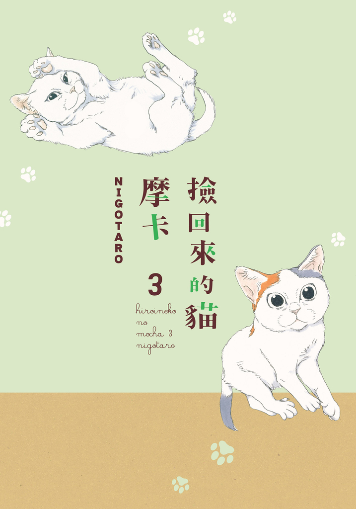 撿回來的貓 摩卡 (3)