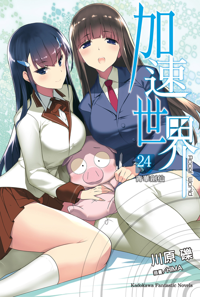 加速世界 (24)