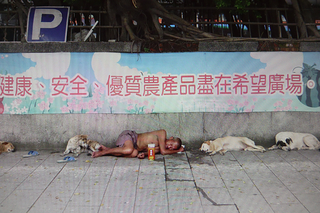 人與狗 人與狗