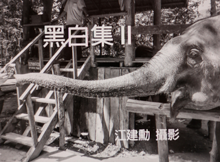 黑白集 II 黑白集 II