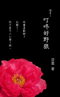 叮咚好野狼 叮咚好野狼