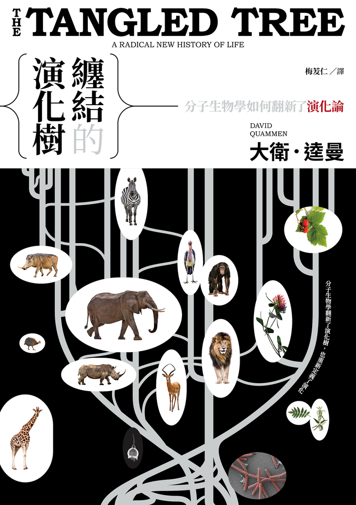 纏結的演化樹