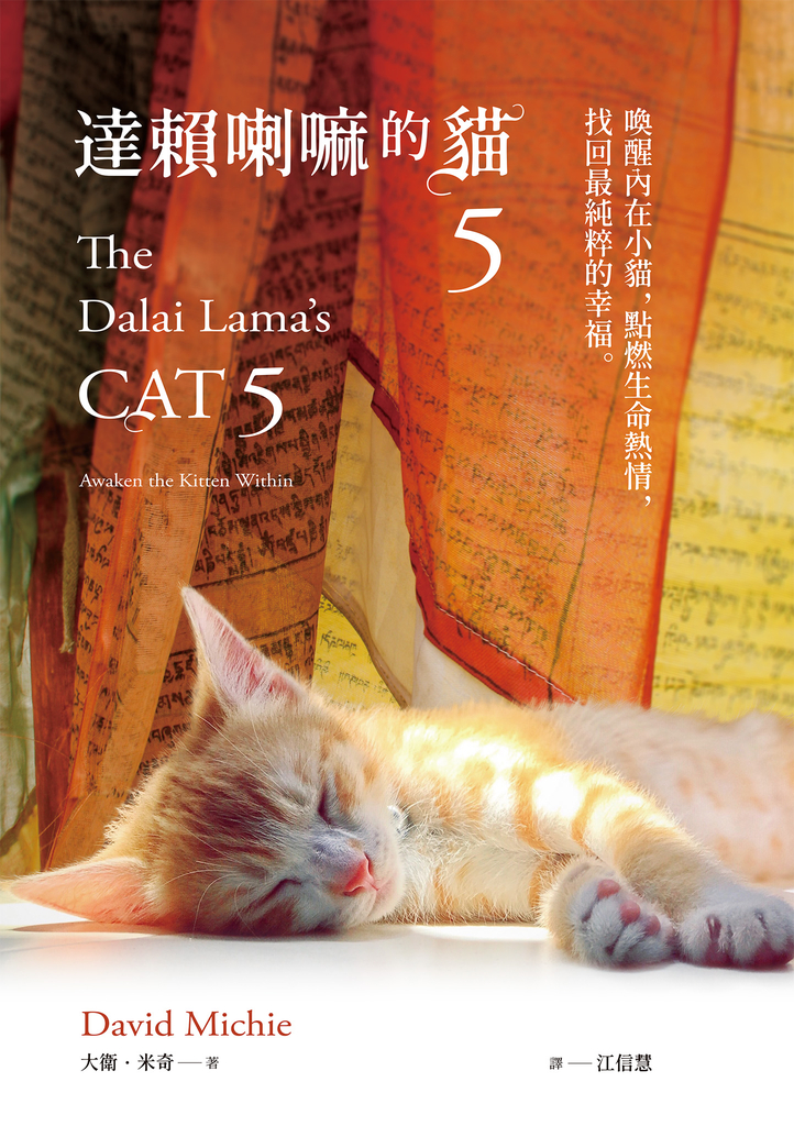 達賴喇嘛的貓5