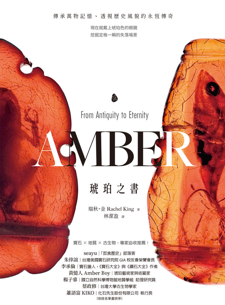 琥珀之書:傳承萬物記憶、透視歷史風貌的永恆傳奇