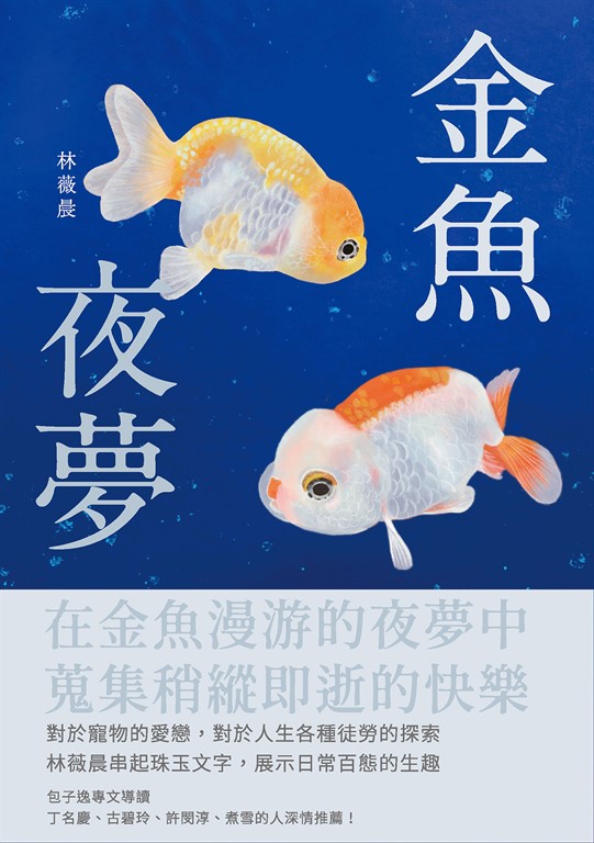 金魚夜夢