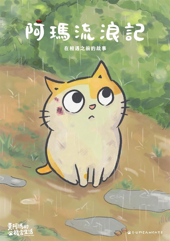 黃阿瑪的後宮生活 阿瑪流浪記:在相遇之前的故事