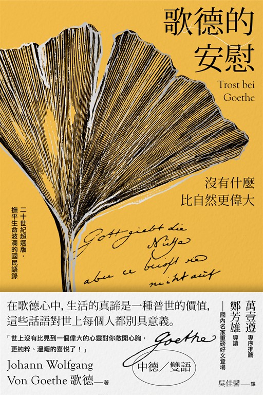 歌德的安慰